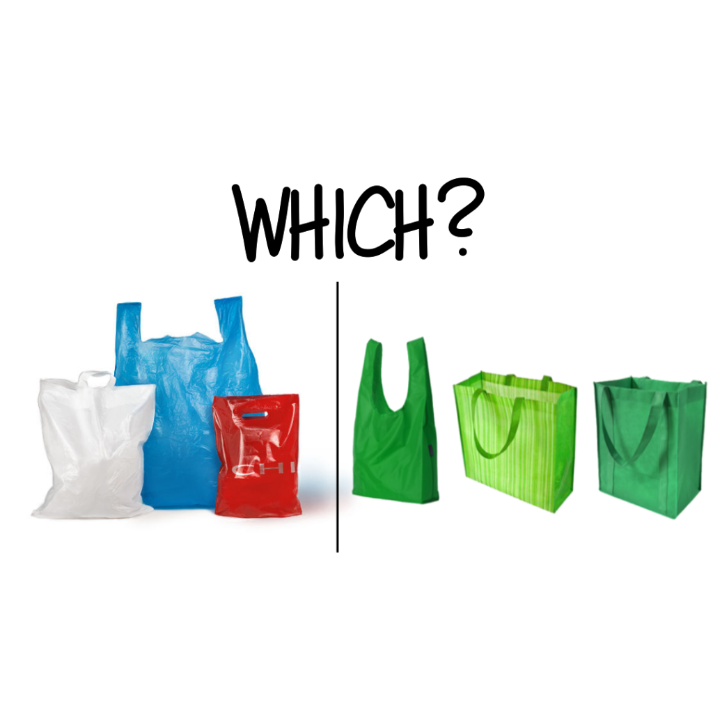 Picture of questioning whether to use plastic bag or reusable bags